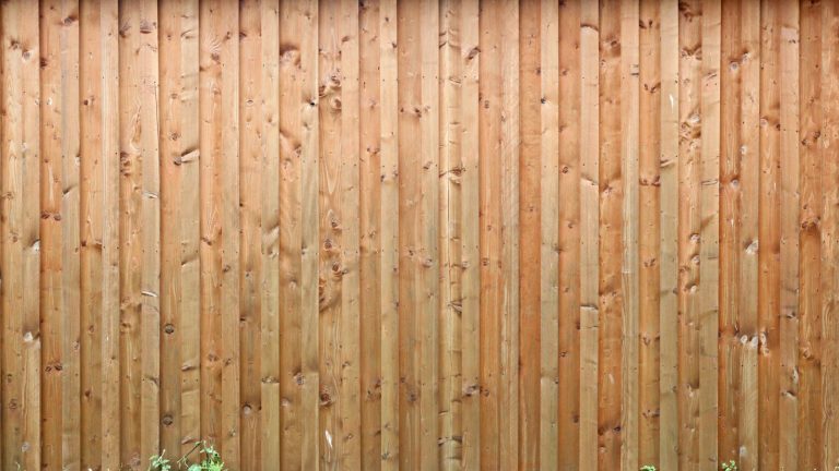 brown wooden fence with white flowers