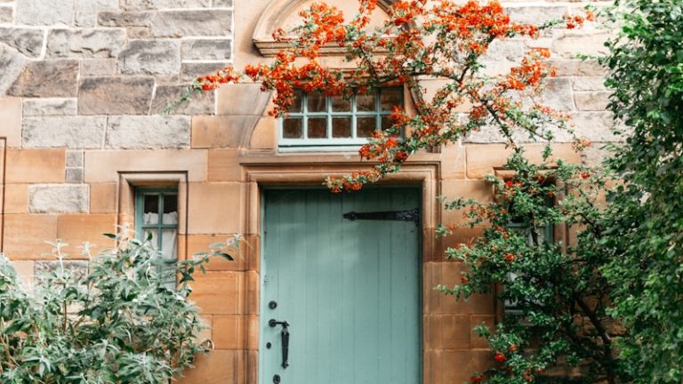 blue wooden door beside green plants