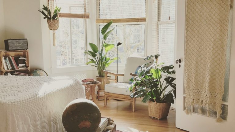 brown wooden framed white padded chair in between green indoor leaf plants inside bedroom