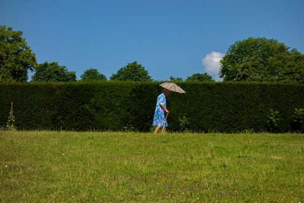 Ontdek de geheimen van effectief tuinonderhoud met Van Blitterswijk