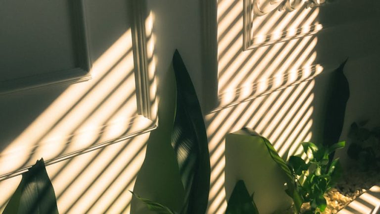 Sunlight through shutters casts patterns on indoor plants, creating a serene atmosphere.