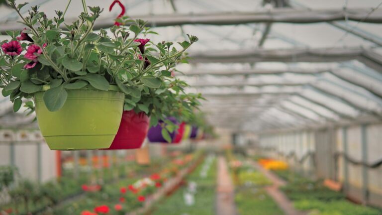a greenhouse filled with lots of plants and flowers